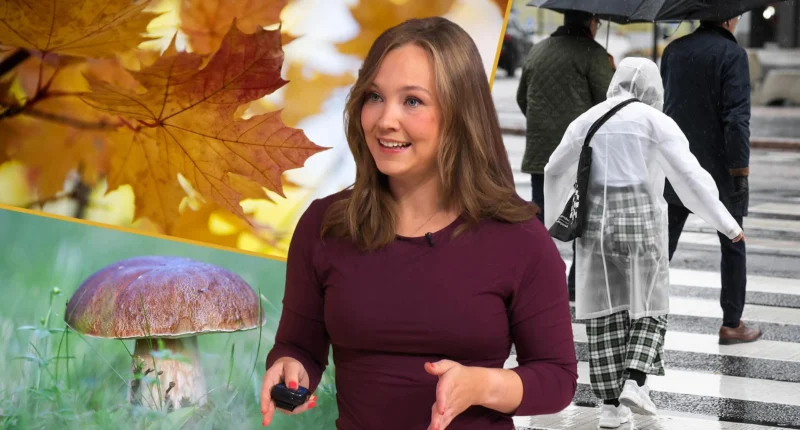Jenna Salminen ikä